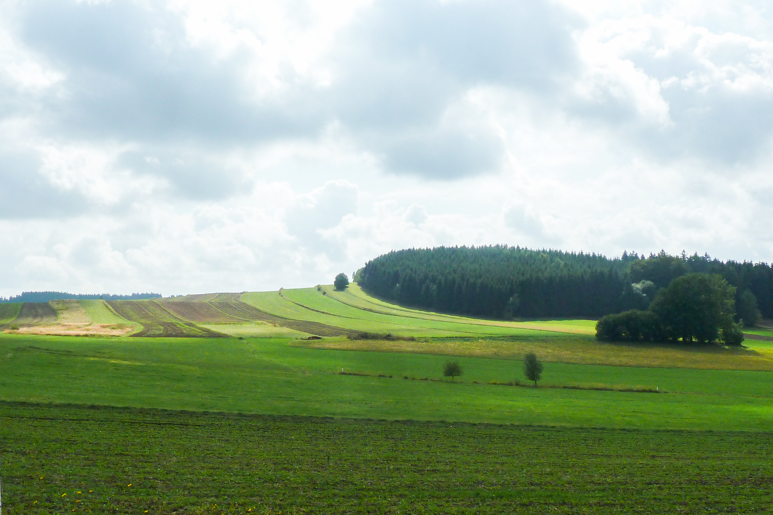 Zwettl – Krems: Kamptal und Wachau
